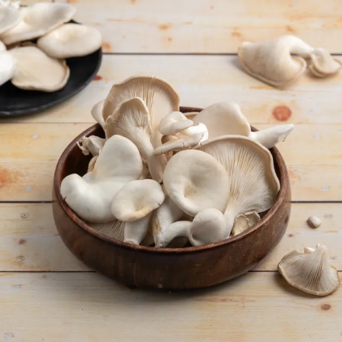 Premium Oyster Mushrooms